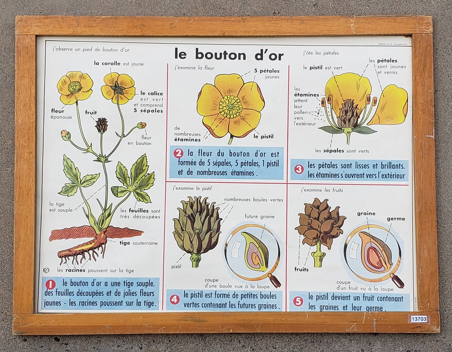 French School Poster