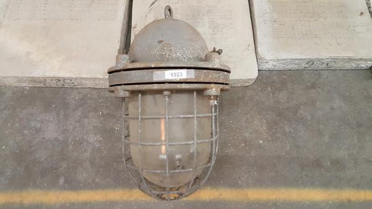 Industrial Cage Light
