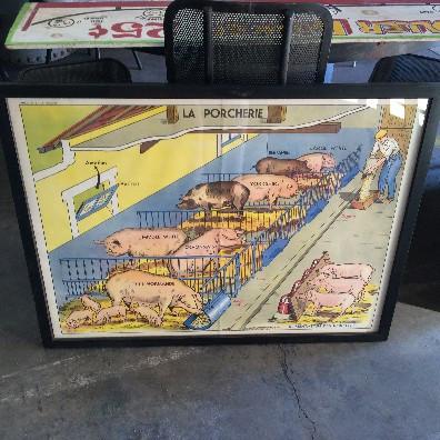 Framed French Pig Poster