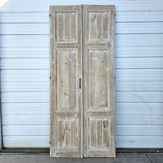 Pair of Wood Panel Doors