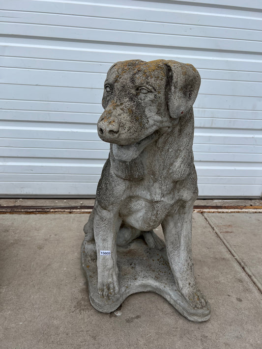 English Concrete Labrador Dog Statue