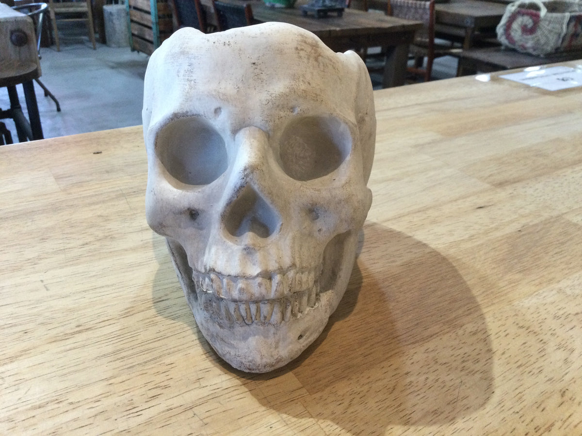 Concrete Skull