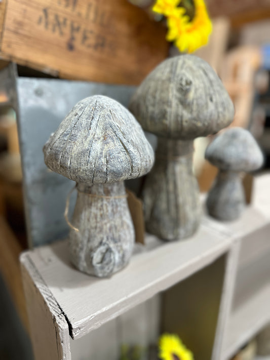 Medium Concrete Mushroom