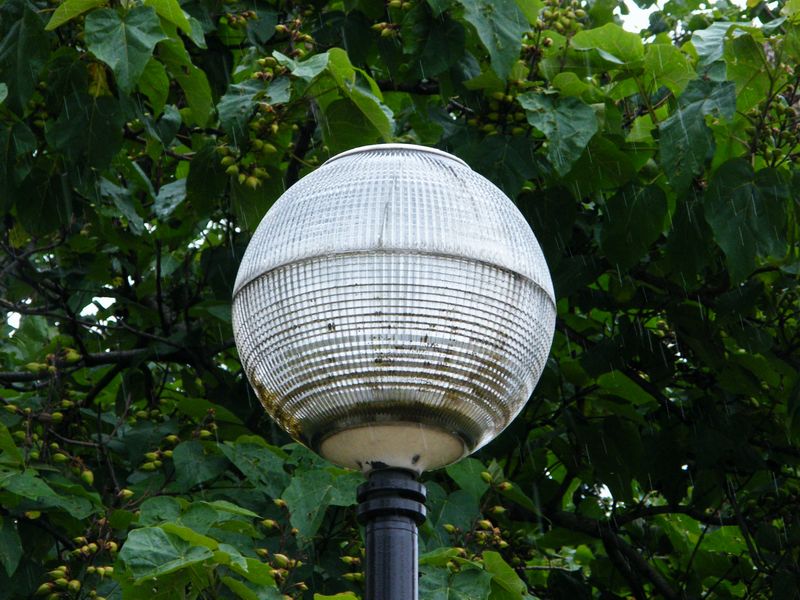Repurposed Parisian Street Light (Large)