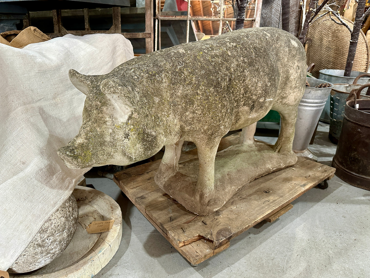 Large Concrete Pig