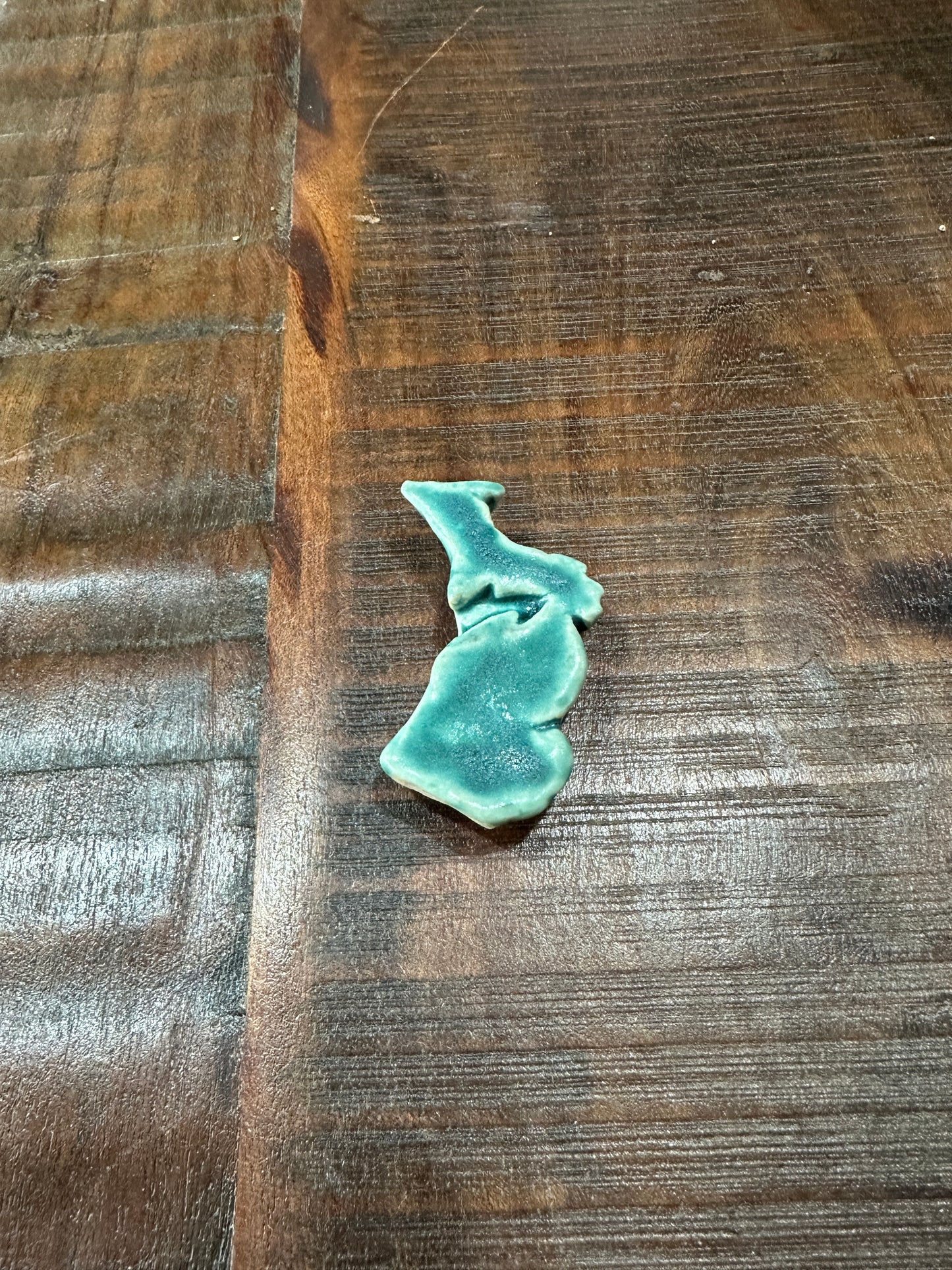 Sea Foam Michigan Magnet