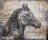 Allison Maye "Portrait of a Horse" Mixed Media