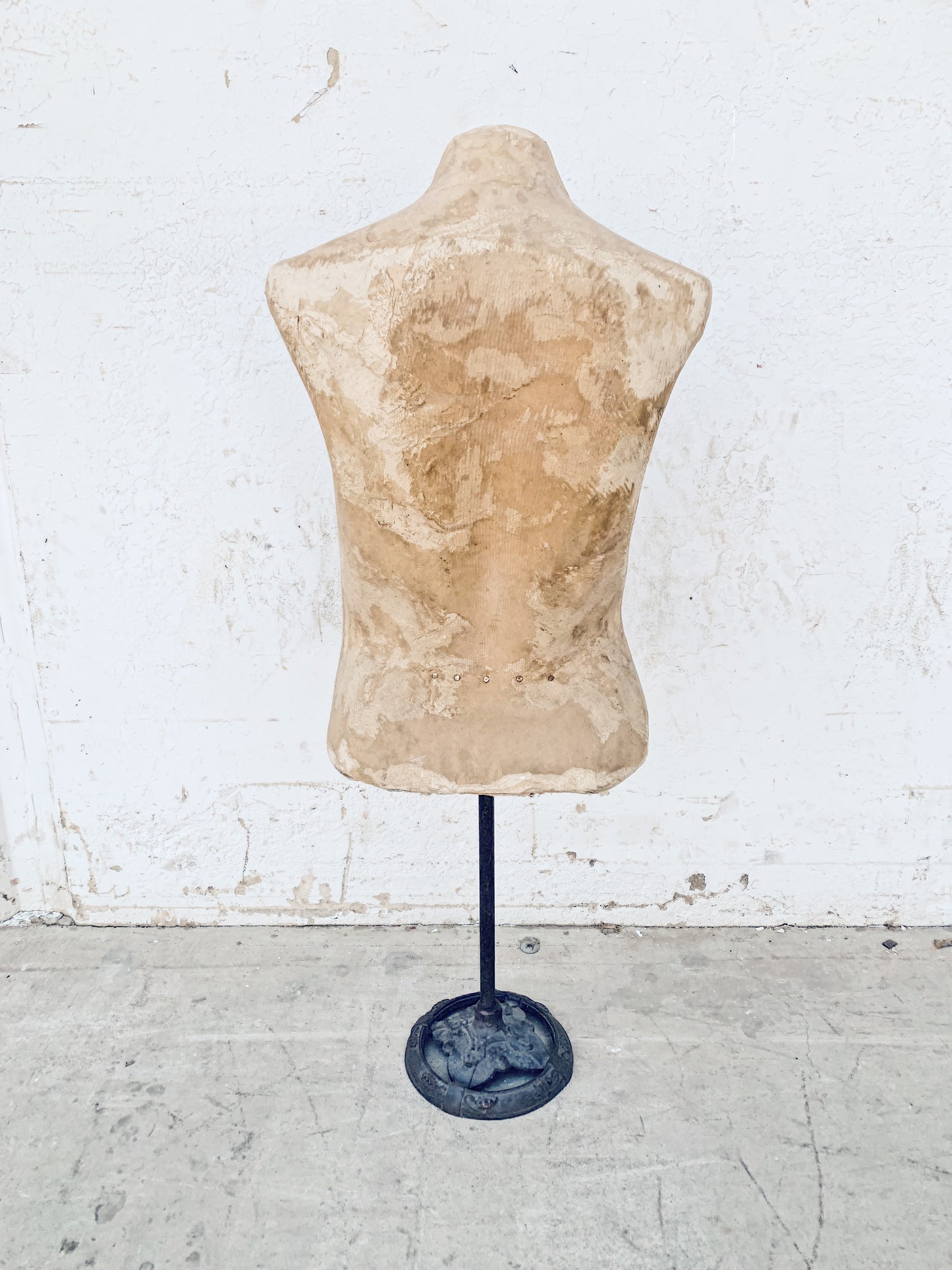 French Paper Mache Bust Mannequin on Stand
