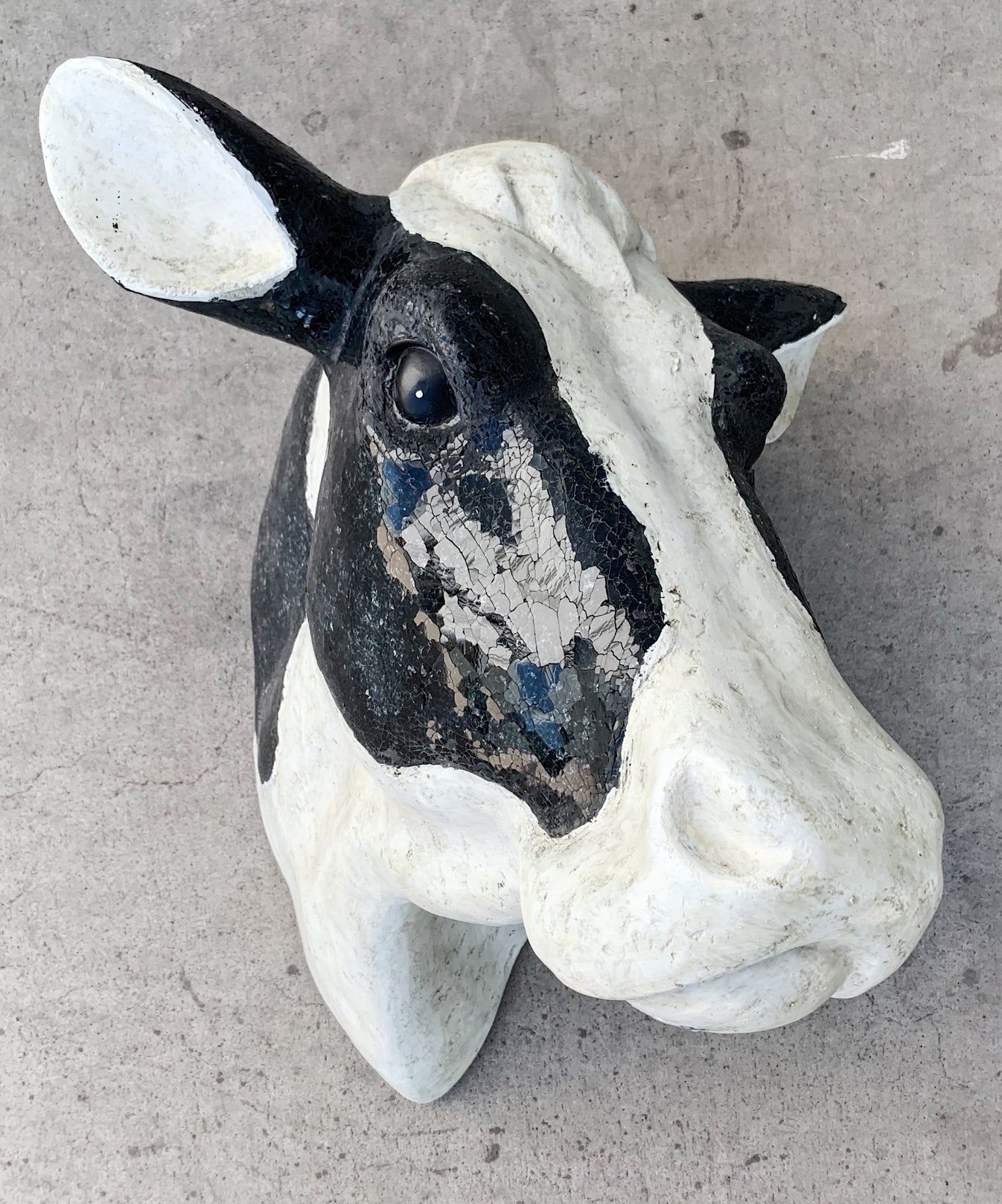 Cow Head