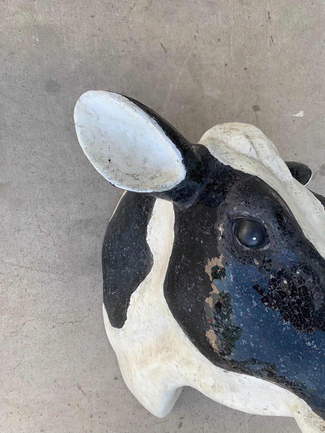 Cow Head