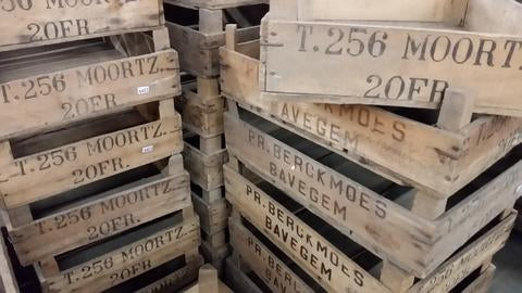 Stackable Crates from Bavegem, Belgium