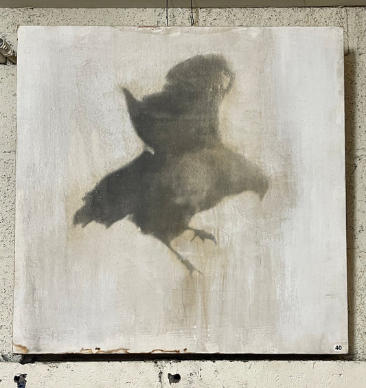 Bird Painting/Art