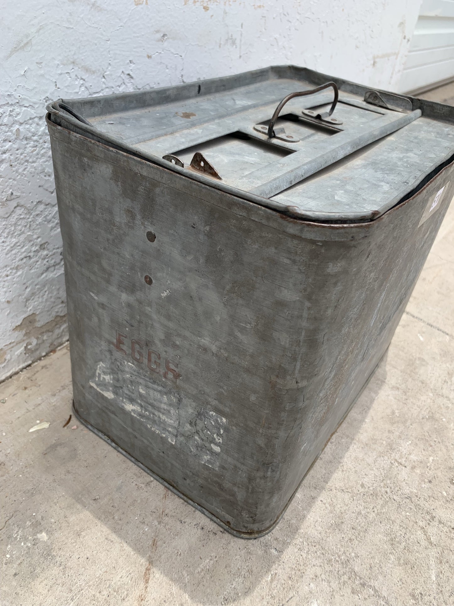 Metal Egg Carrier/Container